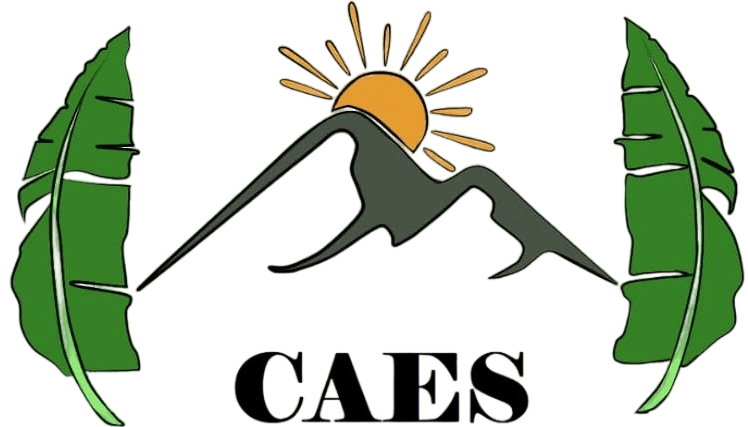 Logo CAES